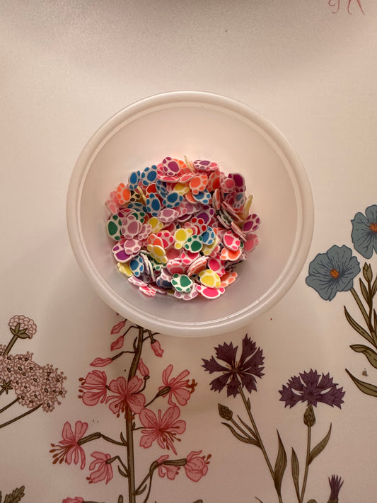 Colorful Paw Slices